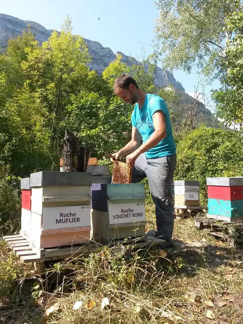 La ruche Souchet rond