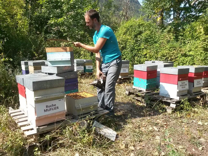 La ruche Souchet rond