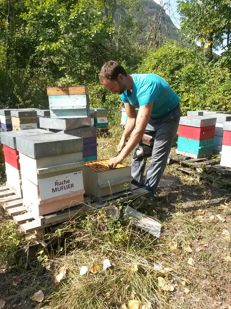 La ruche Souchet rond