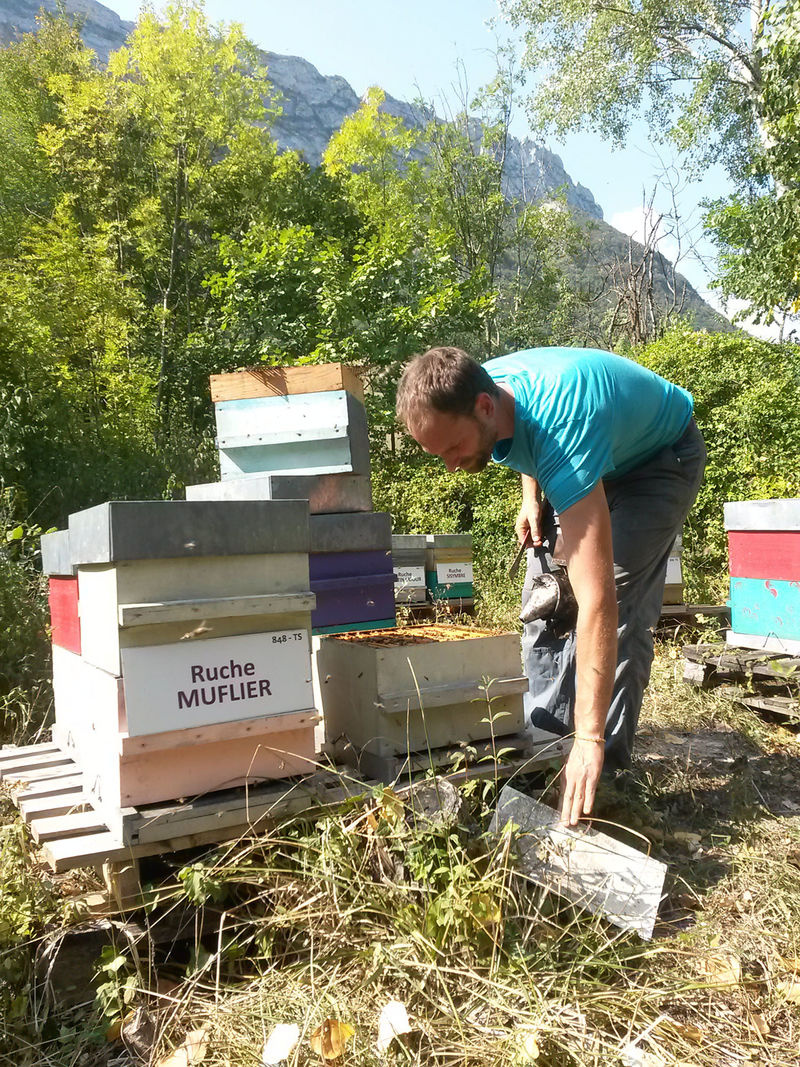 La ruche Souchet rond