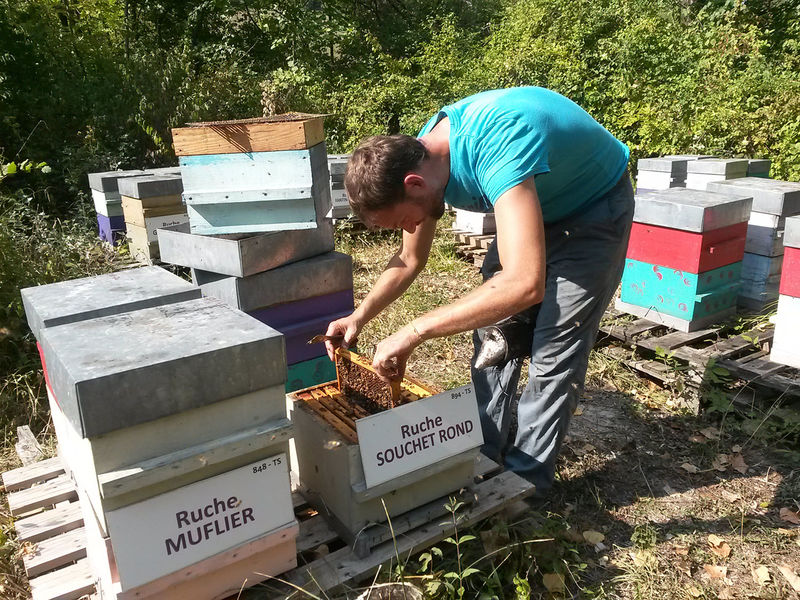 La ruche Souchet rond