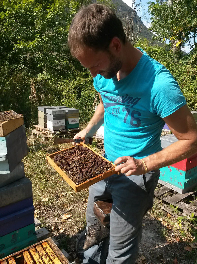 La ruche Souchet rond