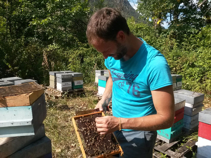 La ruche Souchet rond