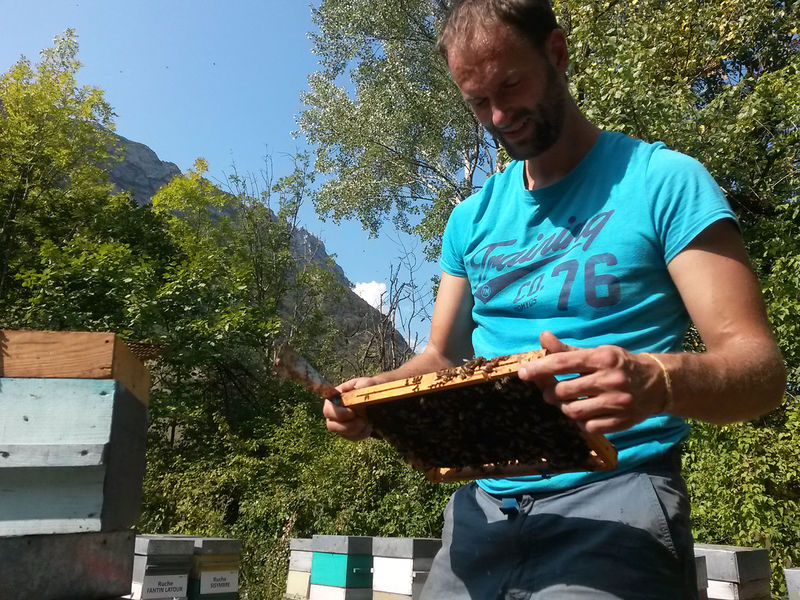 La ruche Souchet rond