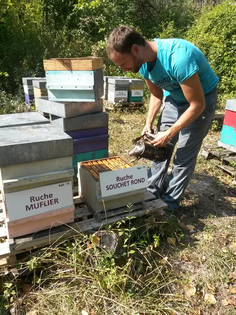 La ruche Souchet rond