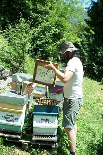 La ruche Souchet rond