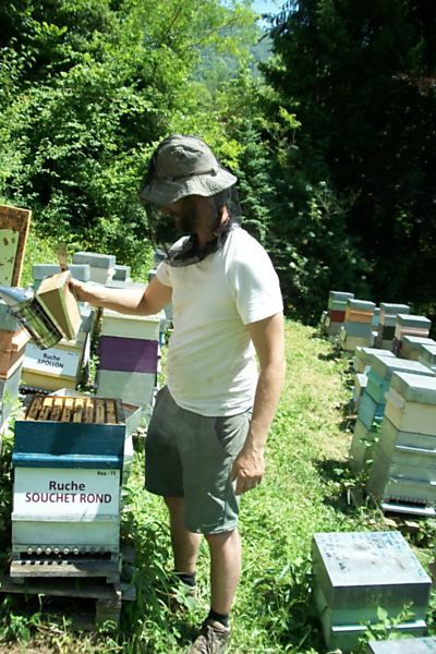 La ruche Souchet rond