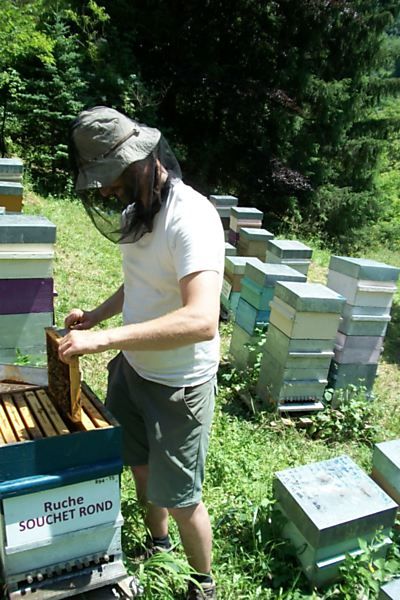 La ruche Souchet rond