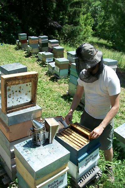 La ruche Souchet rond