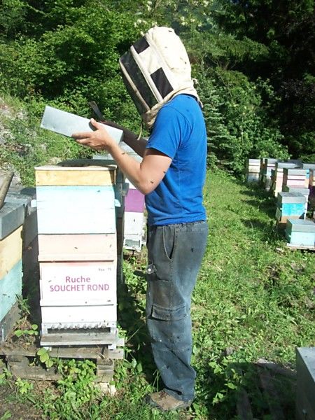 La ruche Souchet rond