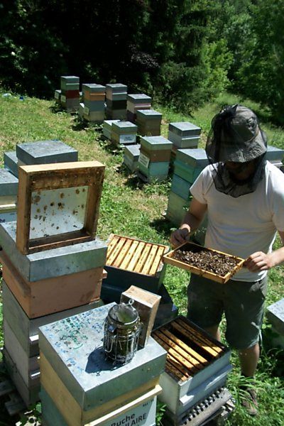 La ruche Souchet rond