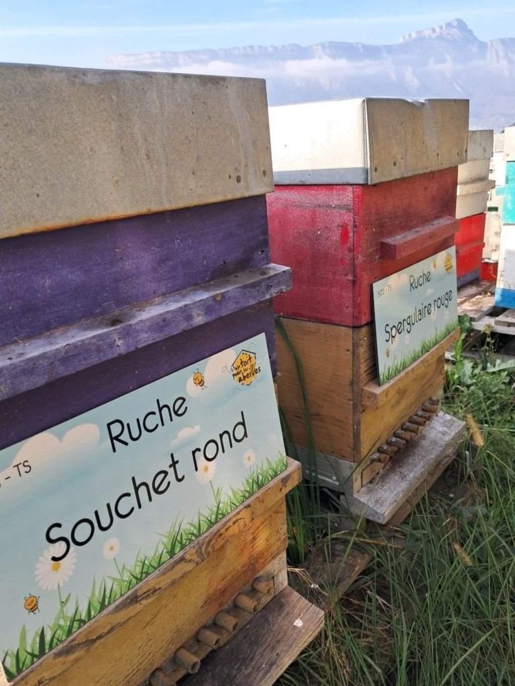 La ruche Souchet rond