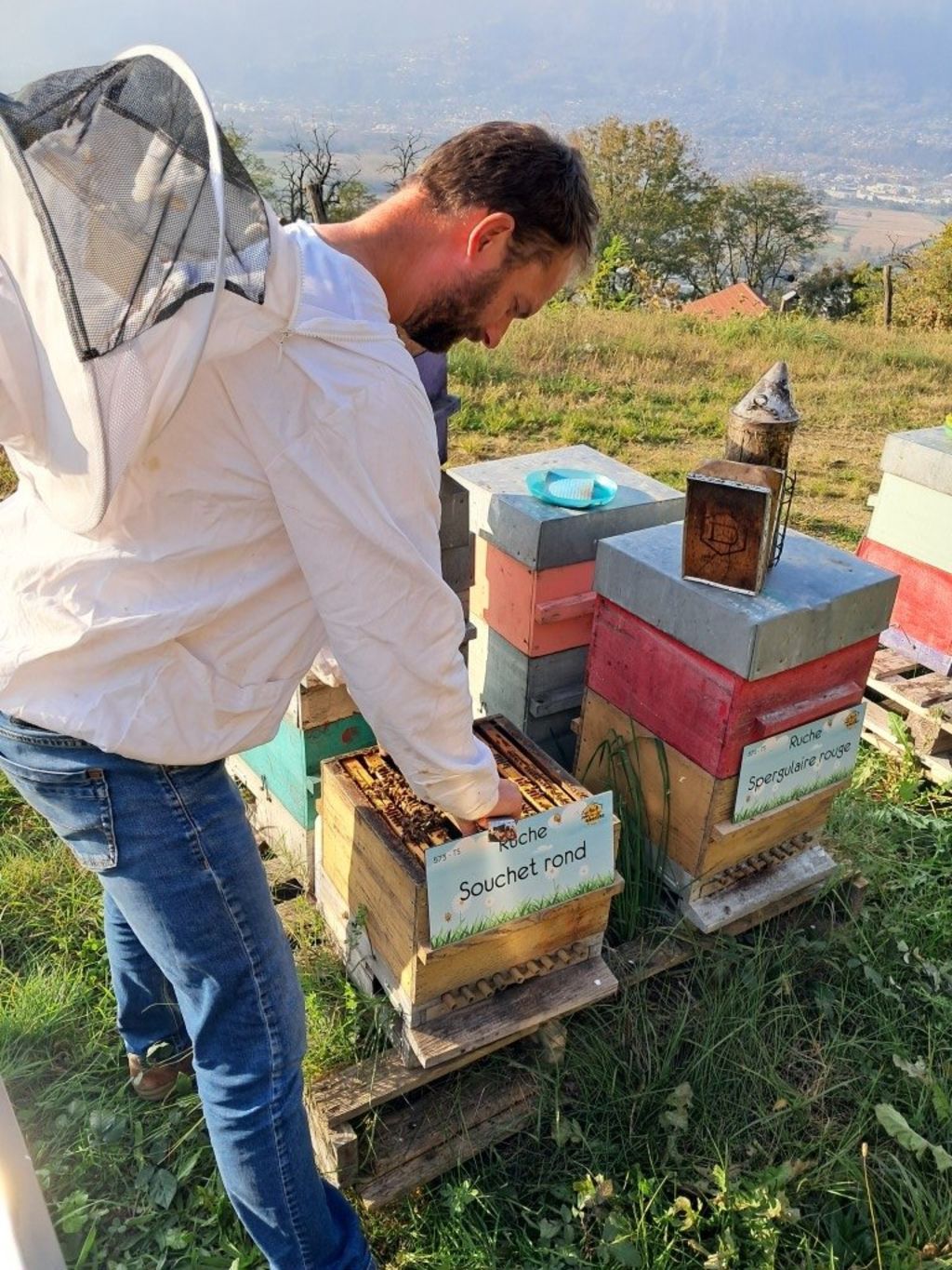 La ruche Souchet rond