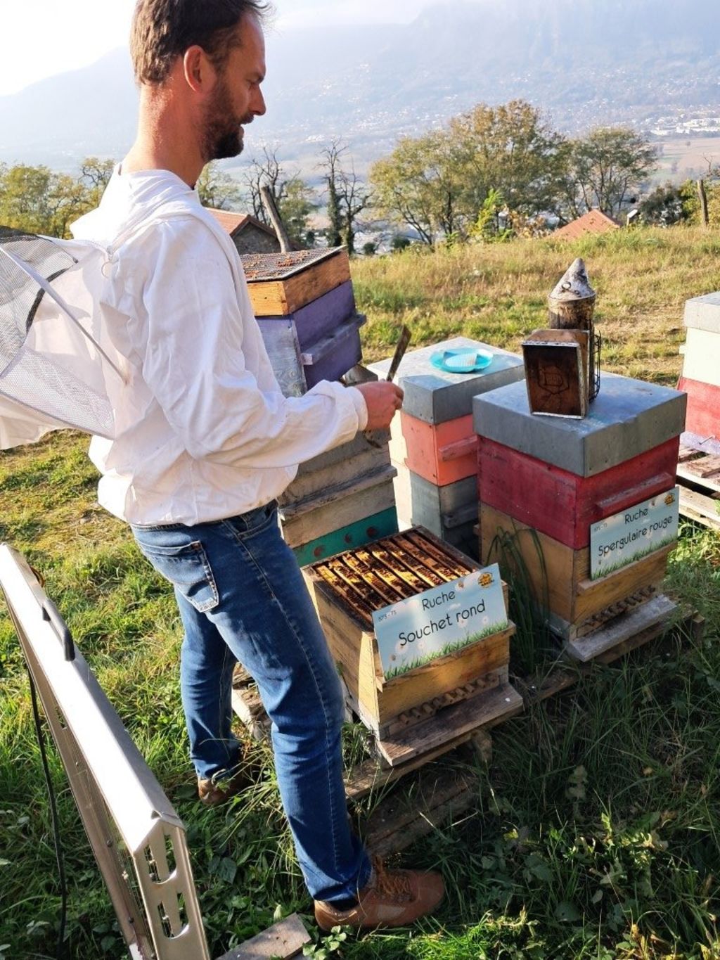 La ruche Souchet rond