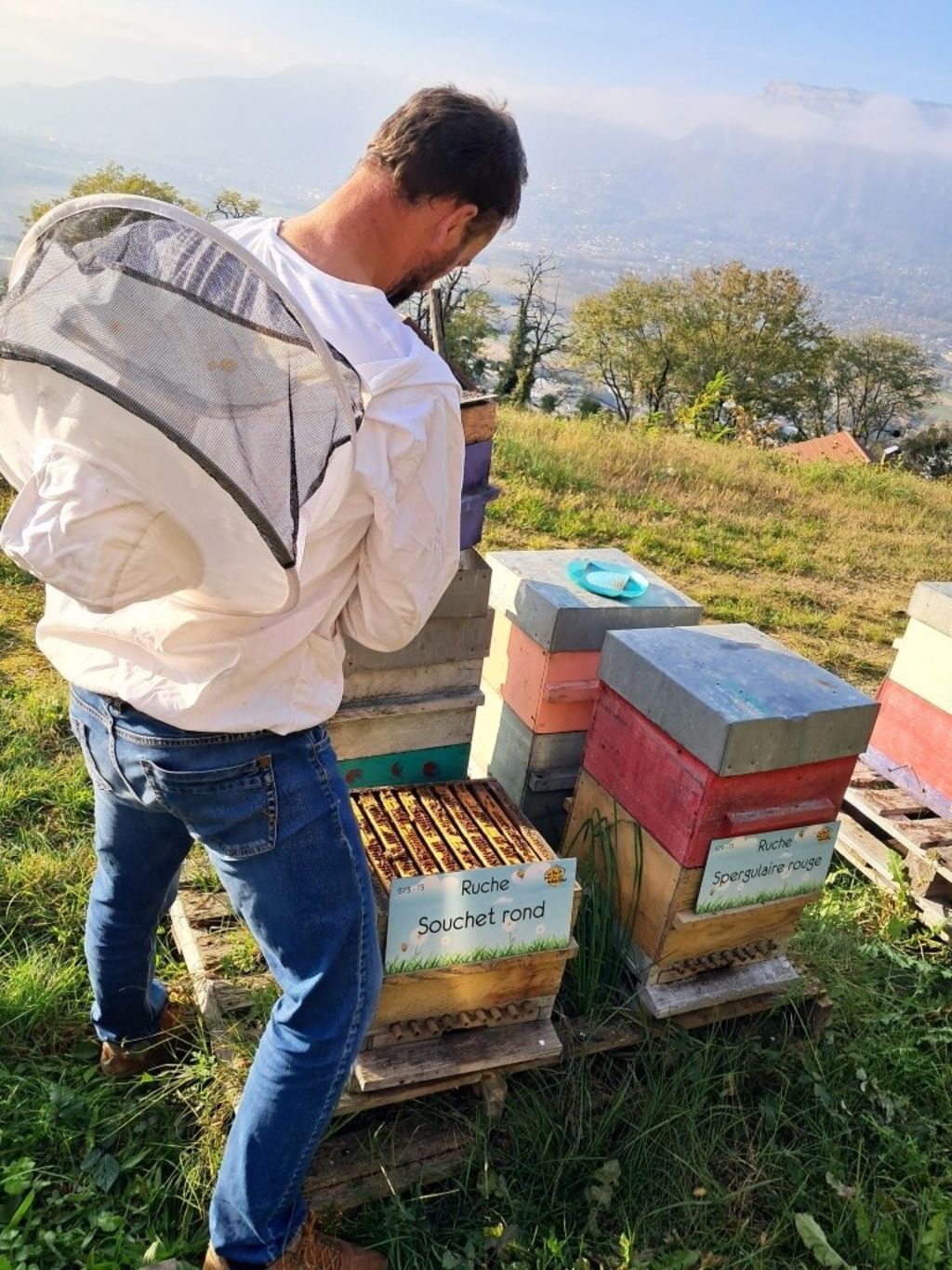 La ruche Souchet rond
