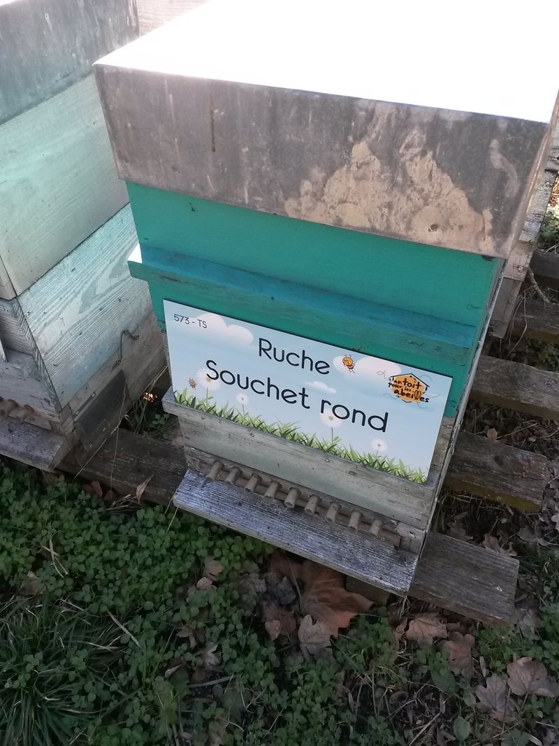 La ruche Souchet rond