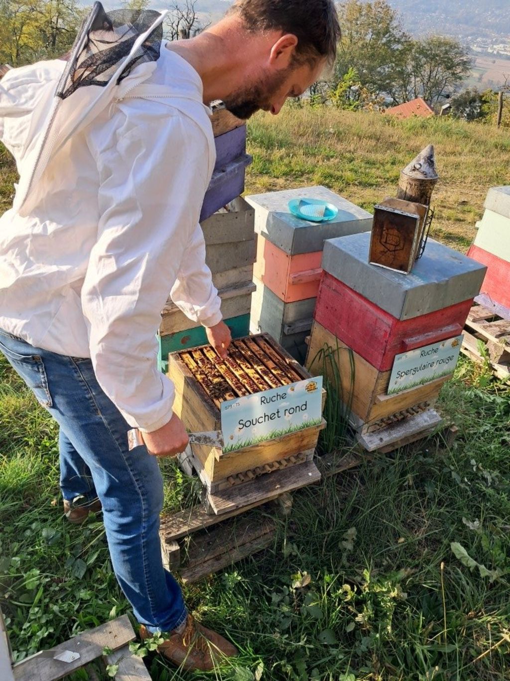 La ruche Souchet rond