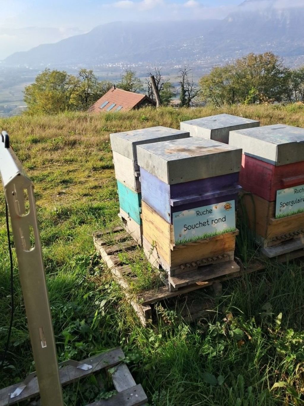 La ruche Souchet rond