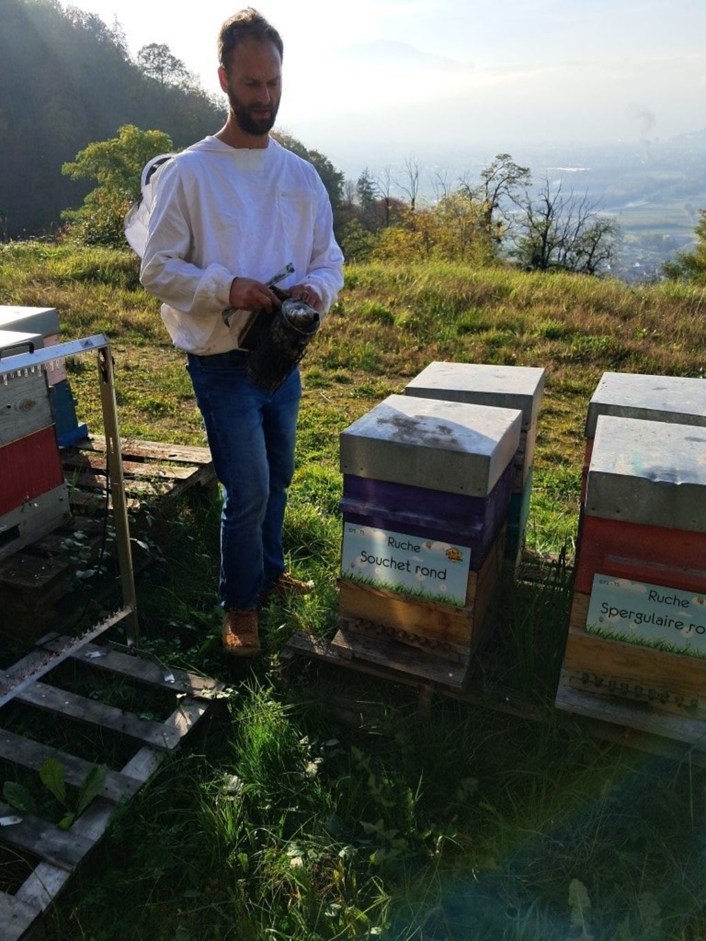 La ruche Souchet rond