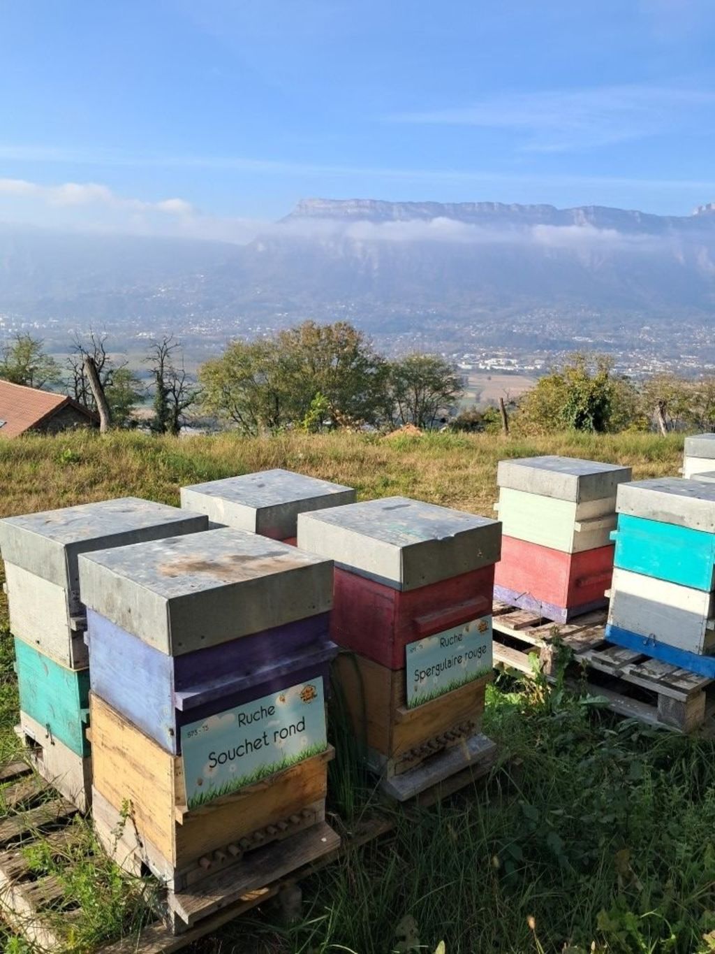 La ruche Souchet rond
