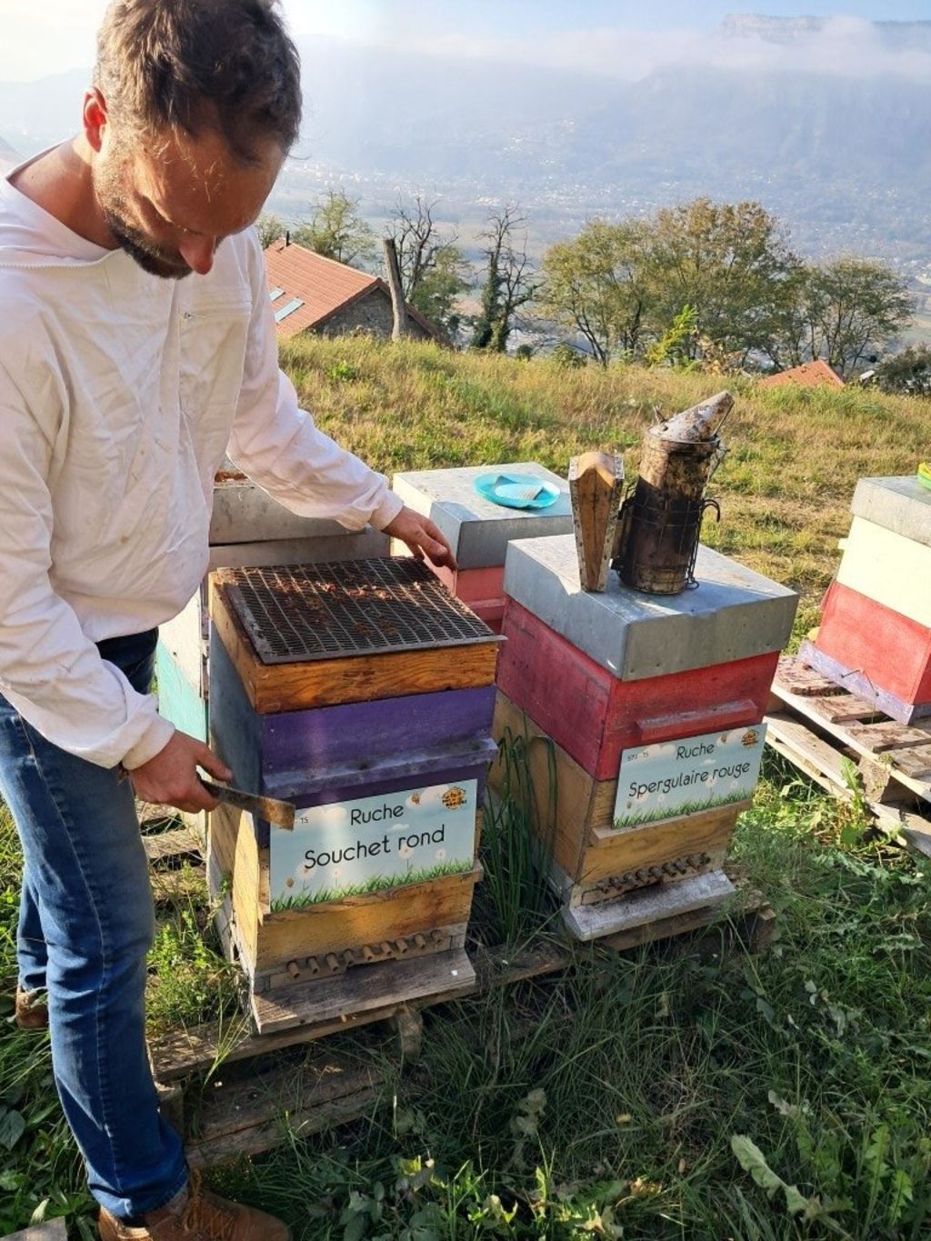 La ruche Souchet rond