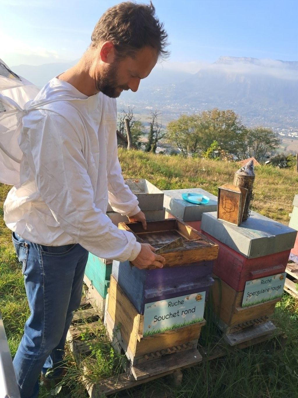 La ruche Souchet rond