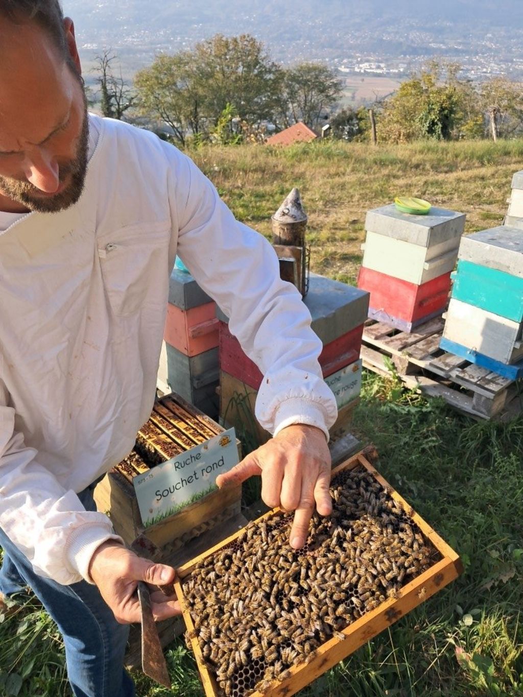 La ruche Souchet rond