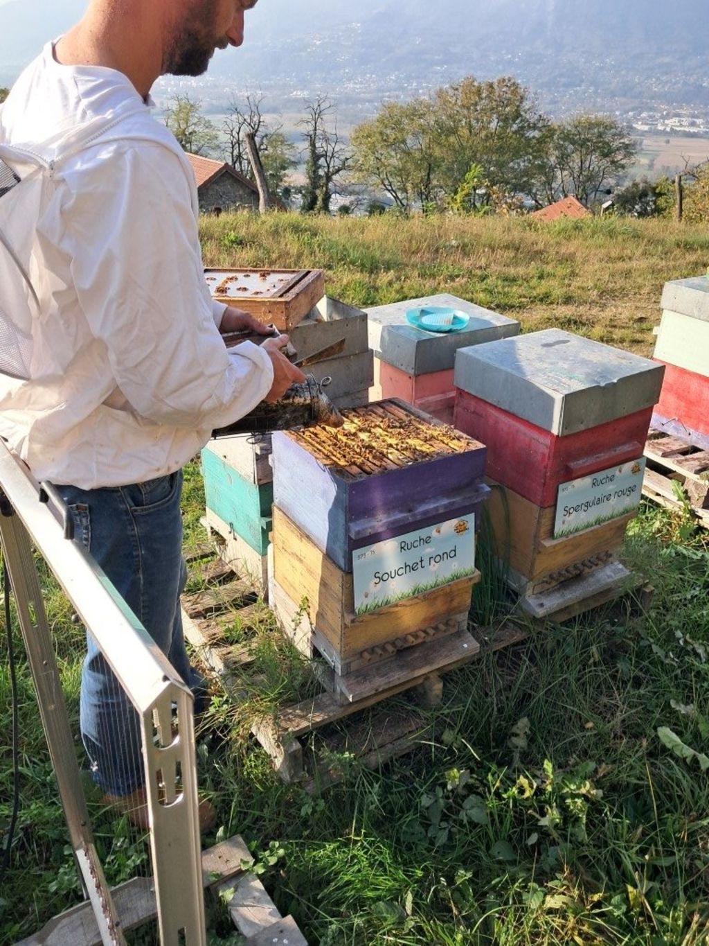 La ruche Souchet rond