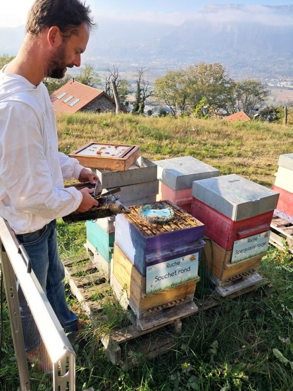 La ruche Souchet rond