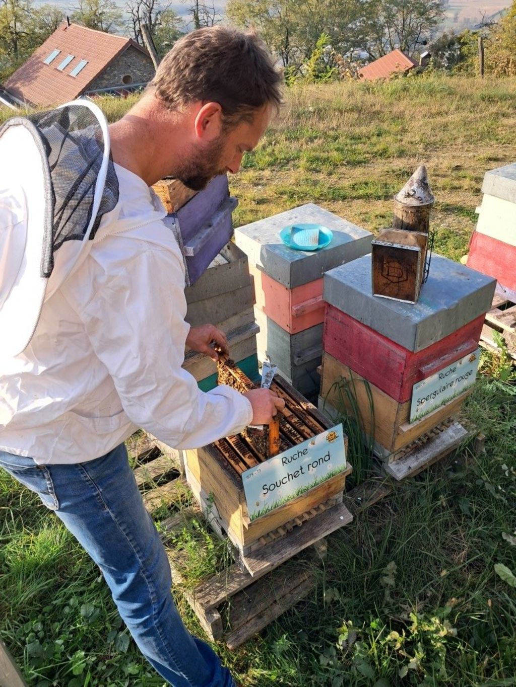 La ruche Souchet rond