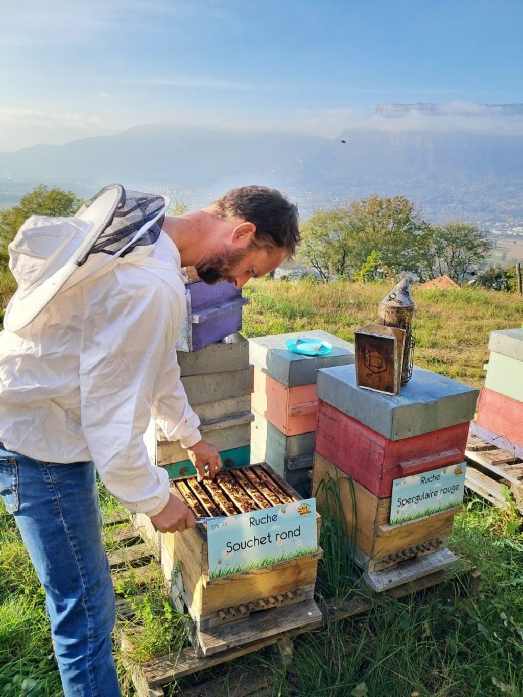 La ruche Souchet rond