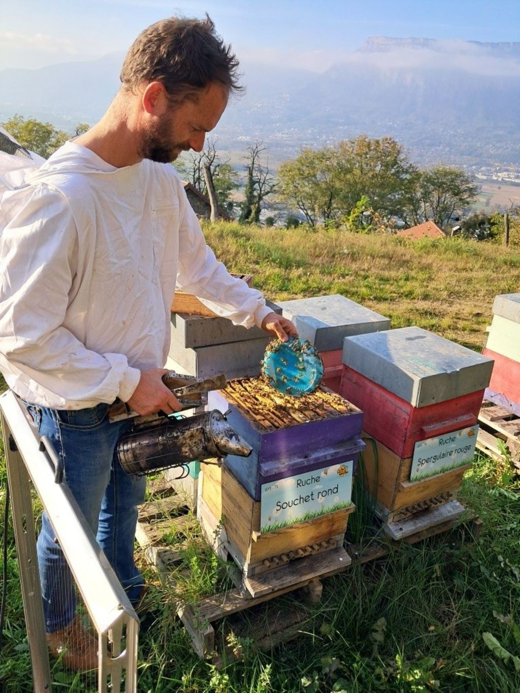 La ruche Souchet rond