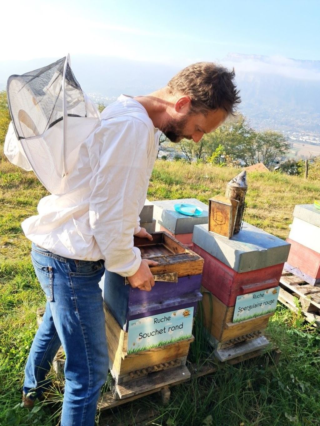 La ruche Souchet rond