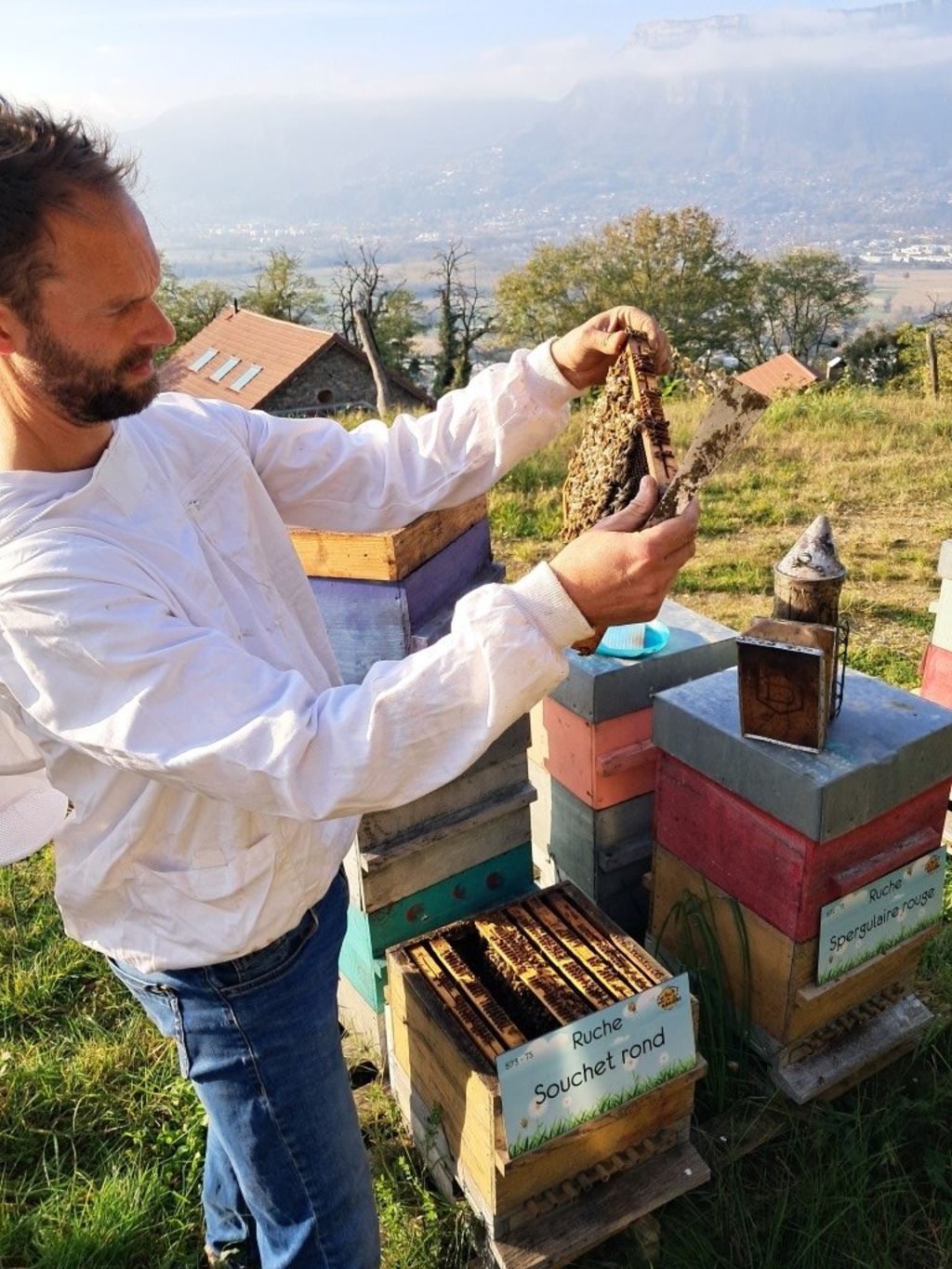 La ruche Souchet rond