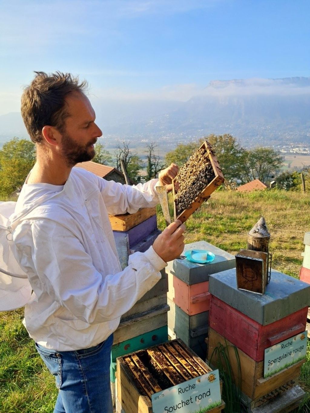 La ruche Souchet rond
