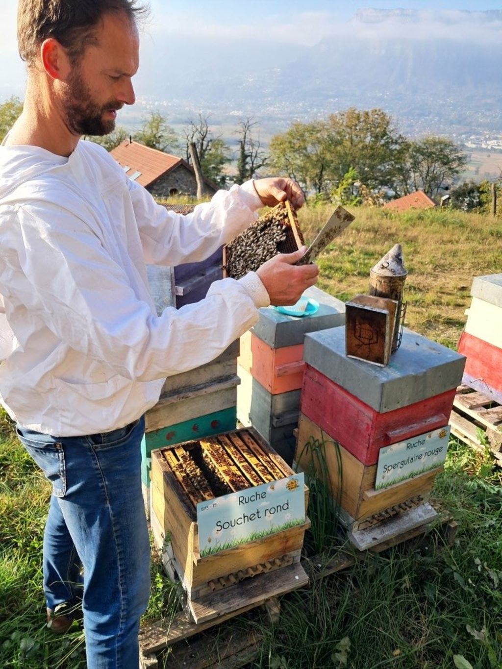 La ruche Souchet rond