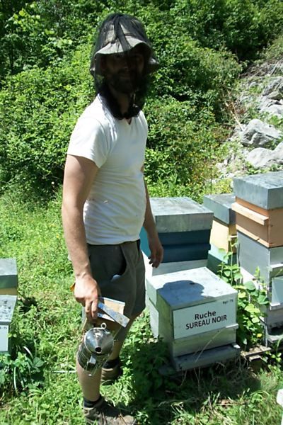 La ruche Sureau noir