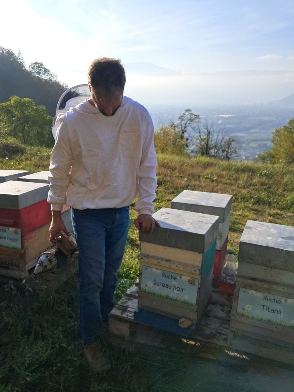 La ruche Sureau noir