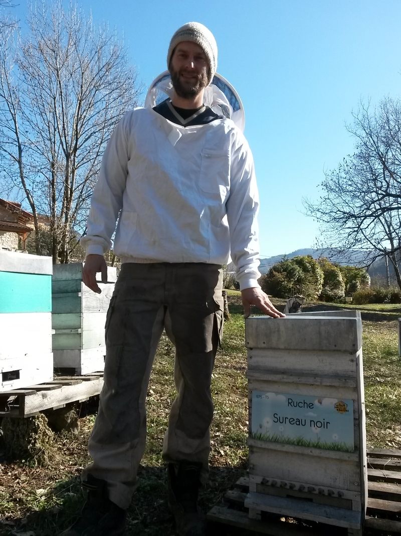 La ruche Sureau noir