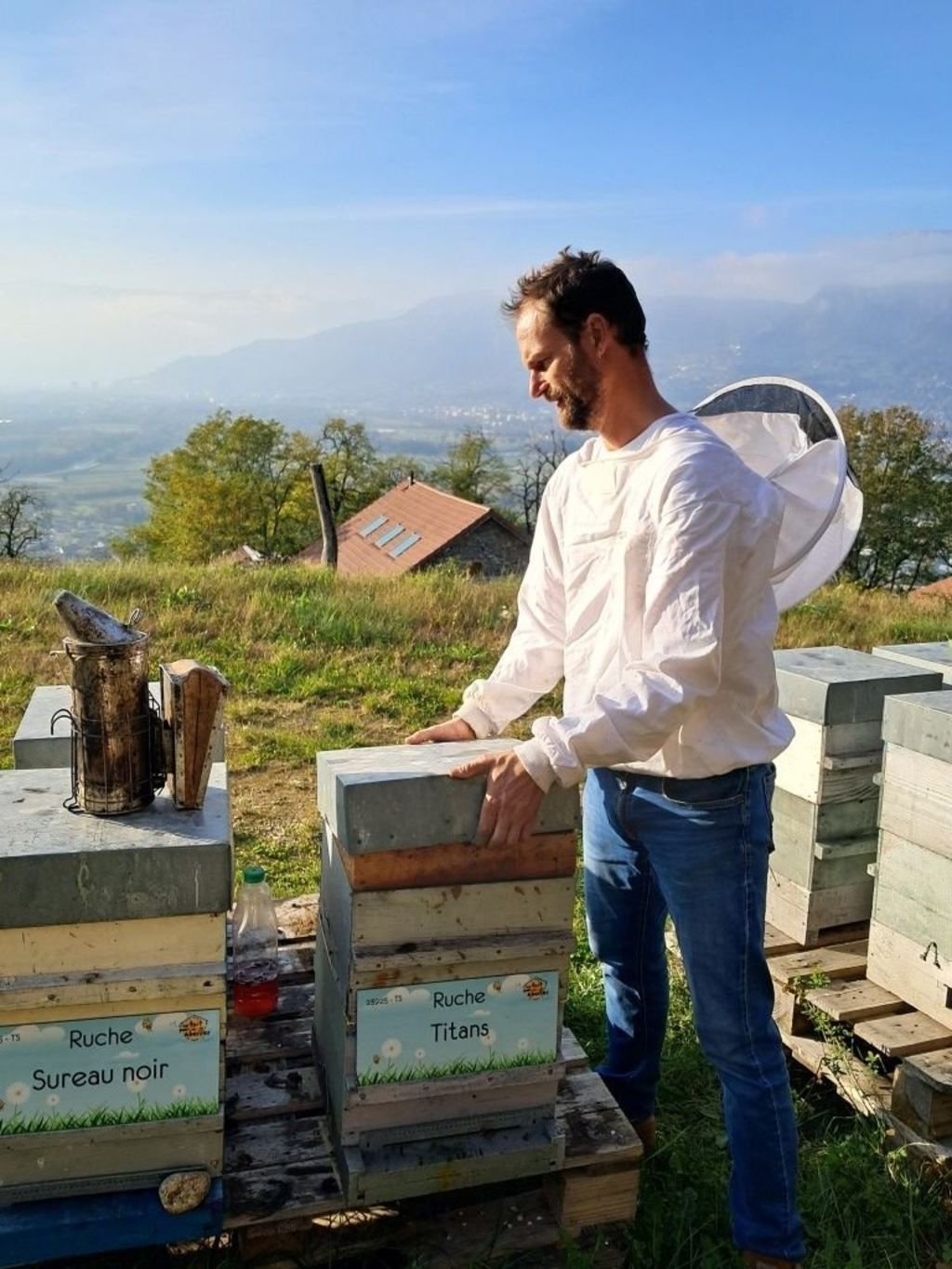 La ruche Sureau noir