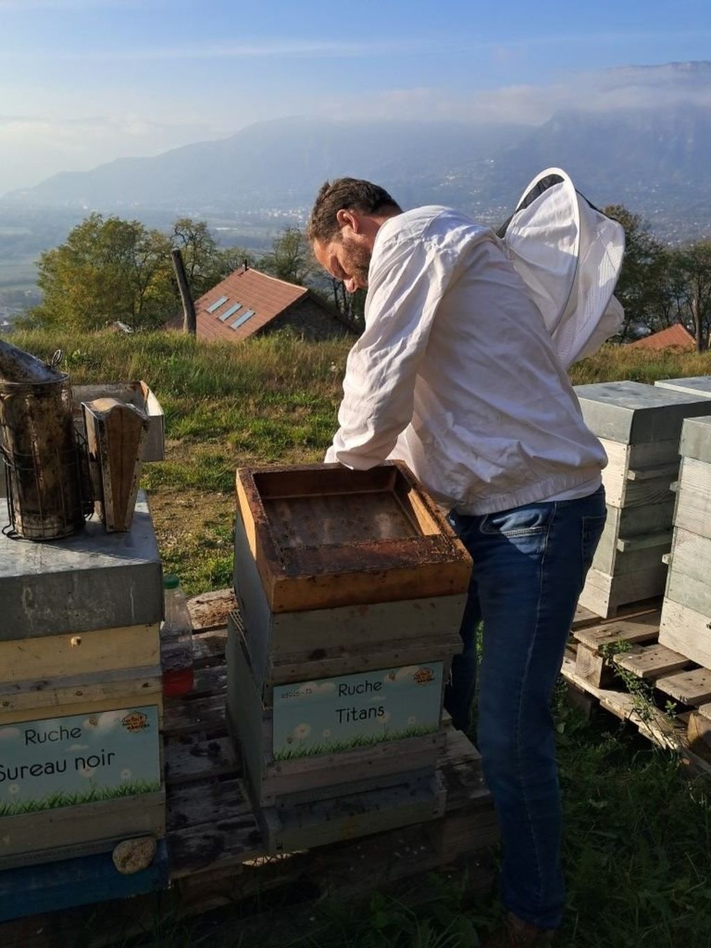 La ruche Sureau noir