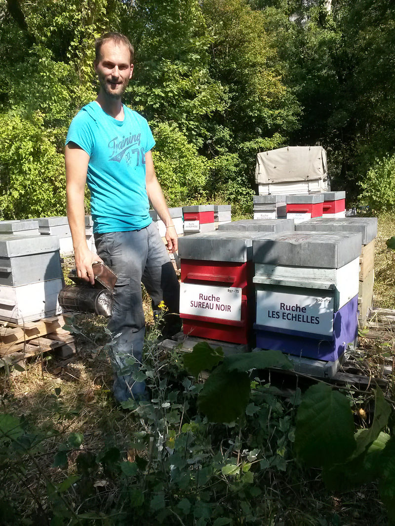La ruche Sureau noir