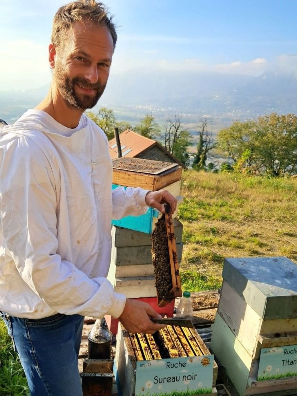 La ruche Sureau noir