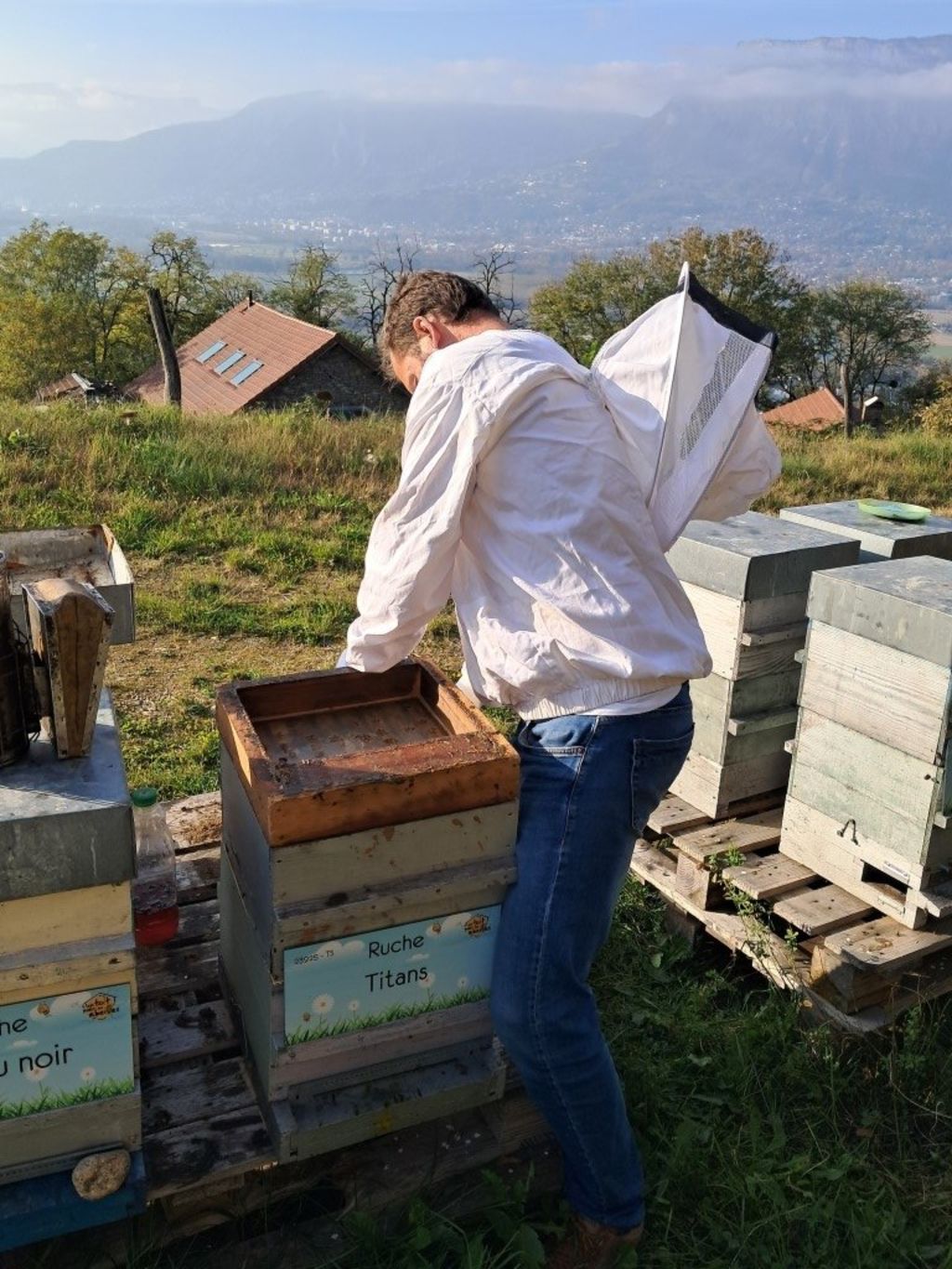 La ruche Sureau noir