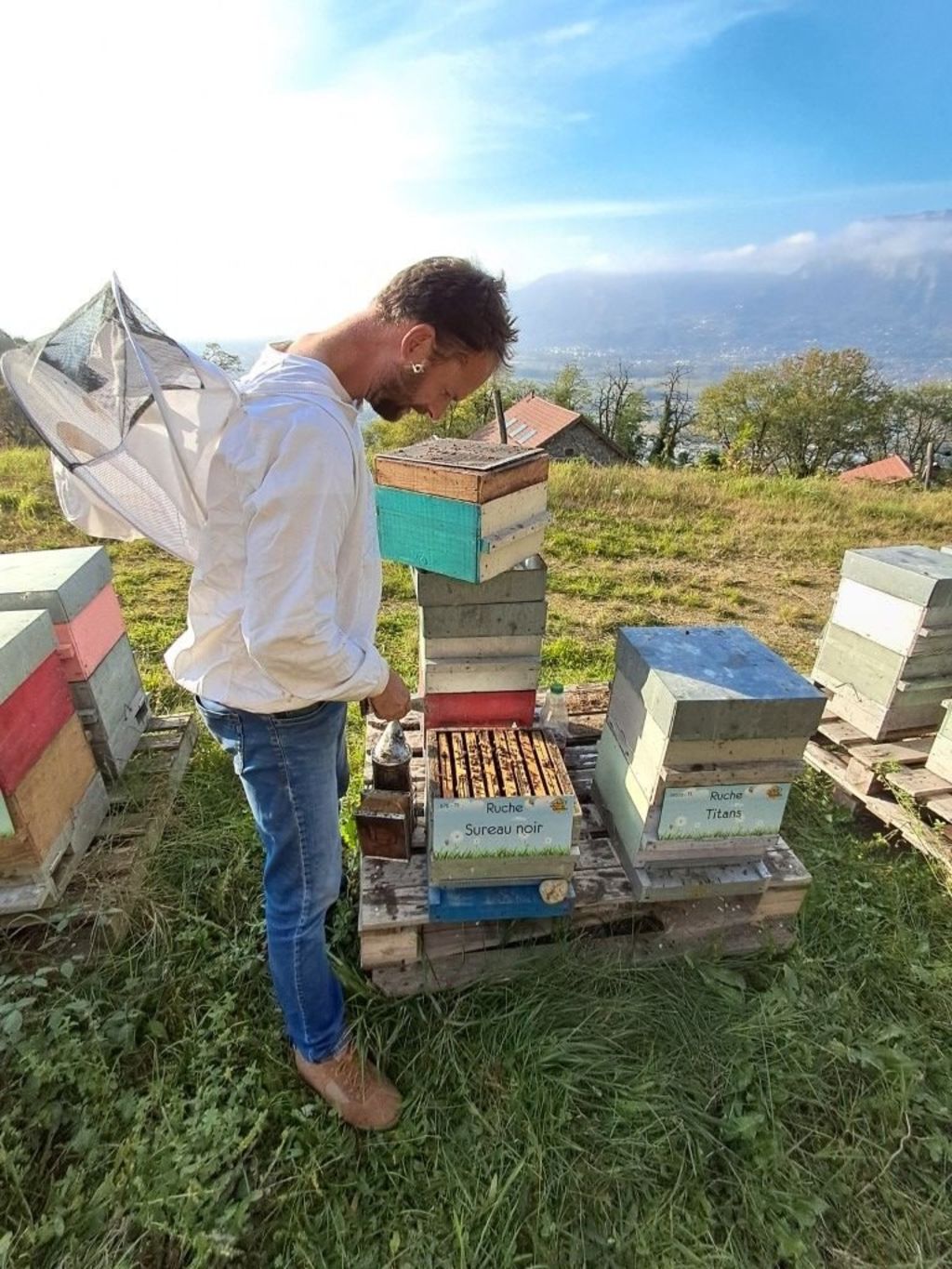 La ruche Sureau noir