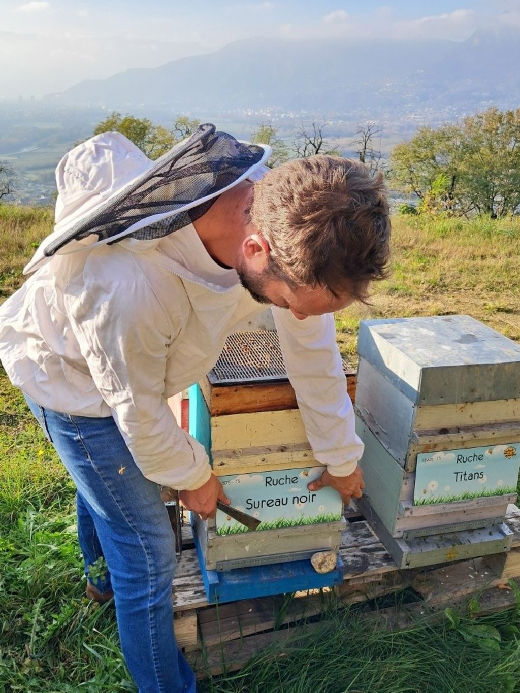 La ruche Sureau noir