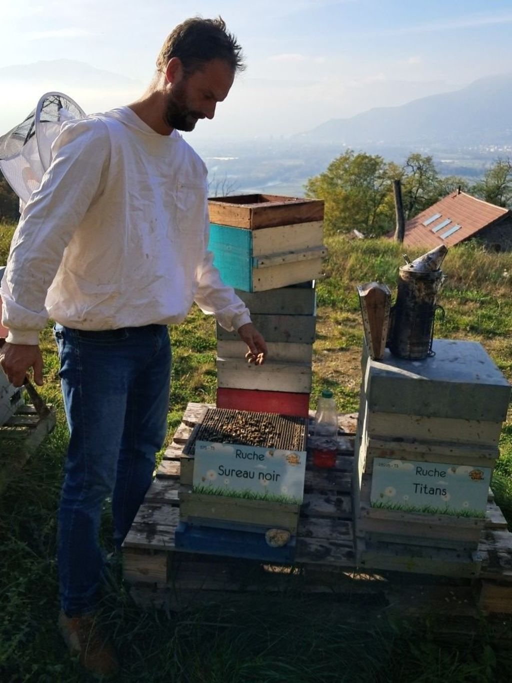 La ruche Sureau noir