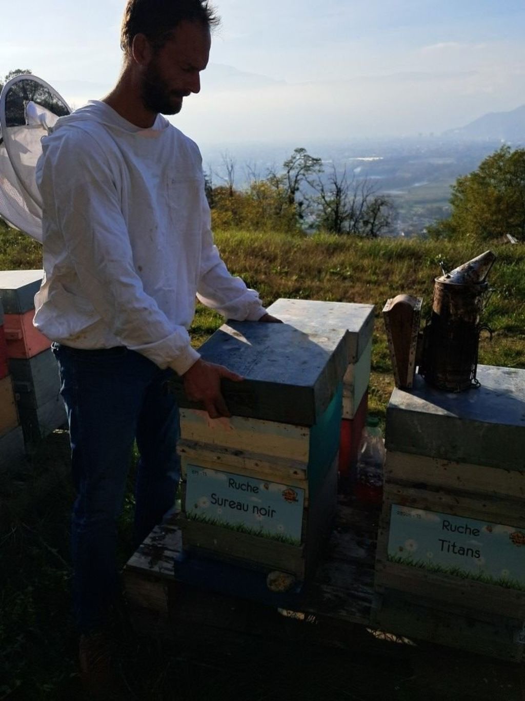 La ruche Sureau noir