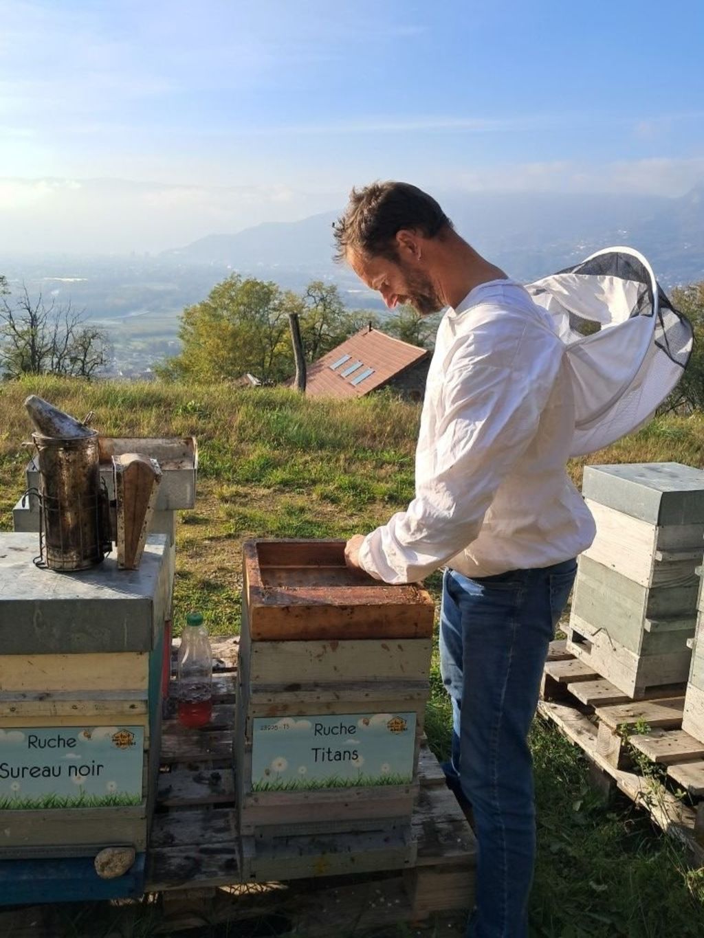 La ruche Sureau noir