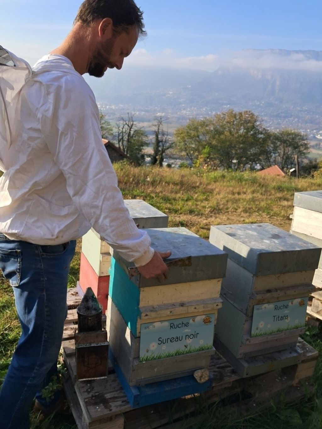 La ruche Sureau noir